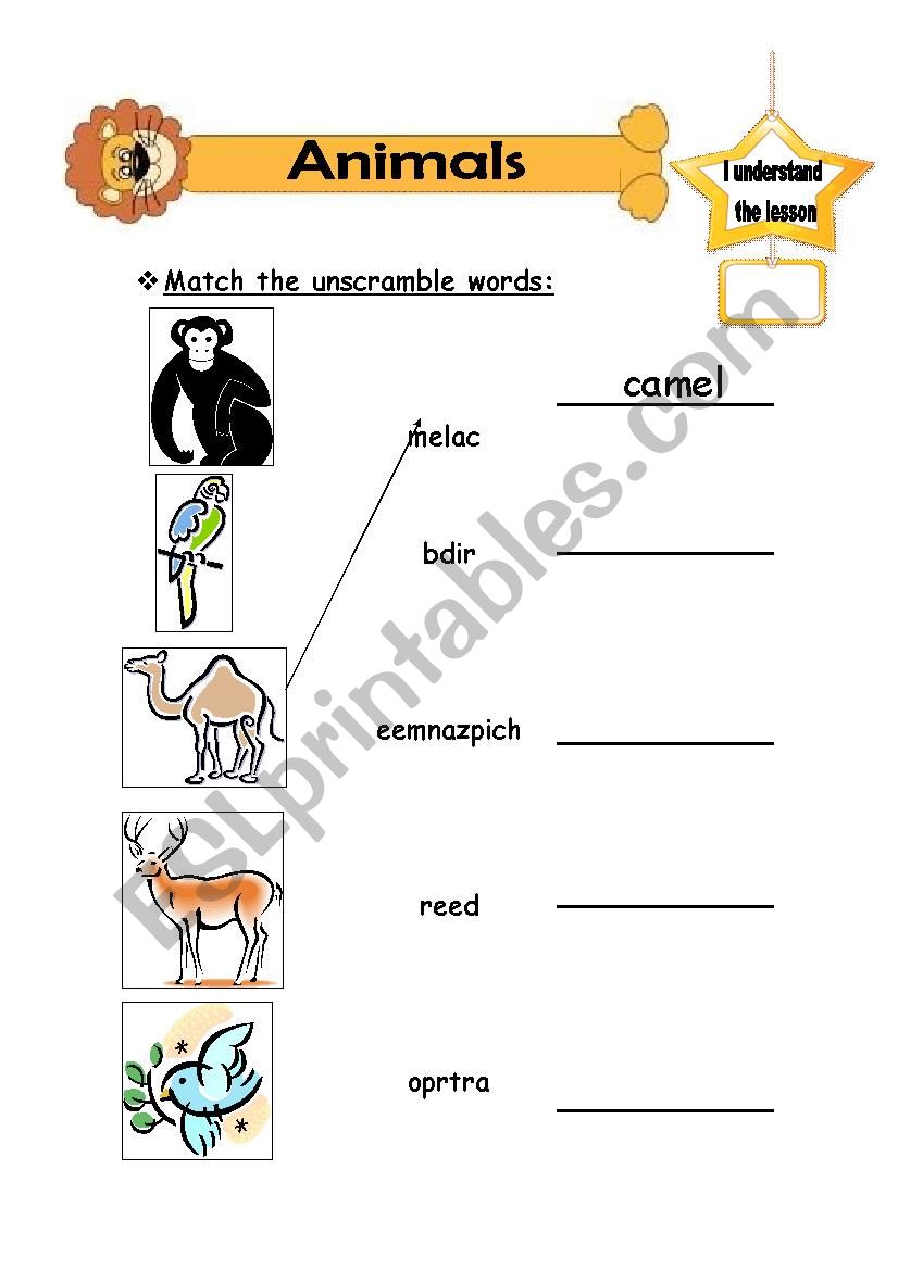 animals worksheet