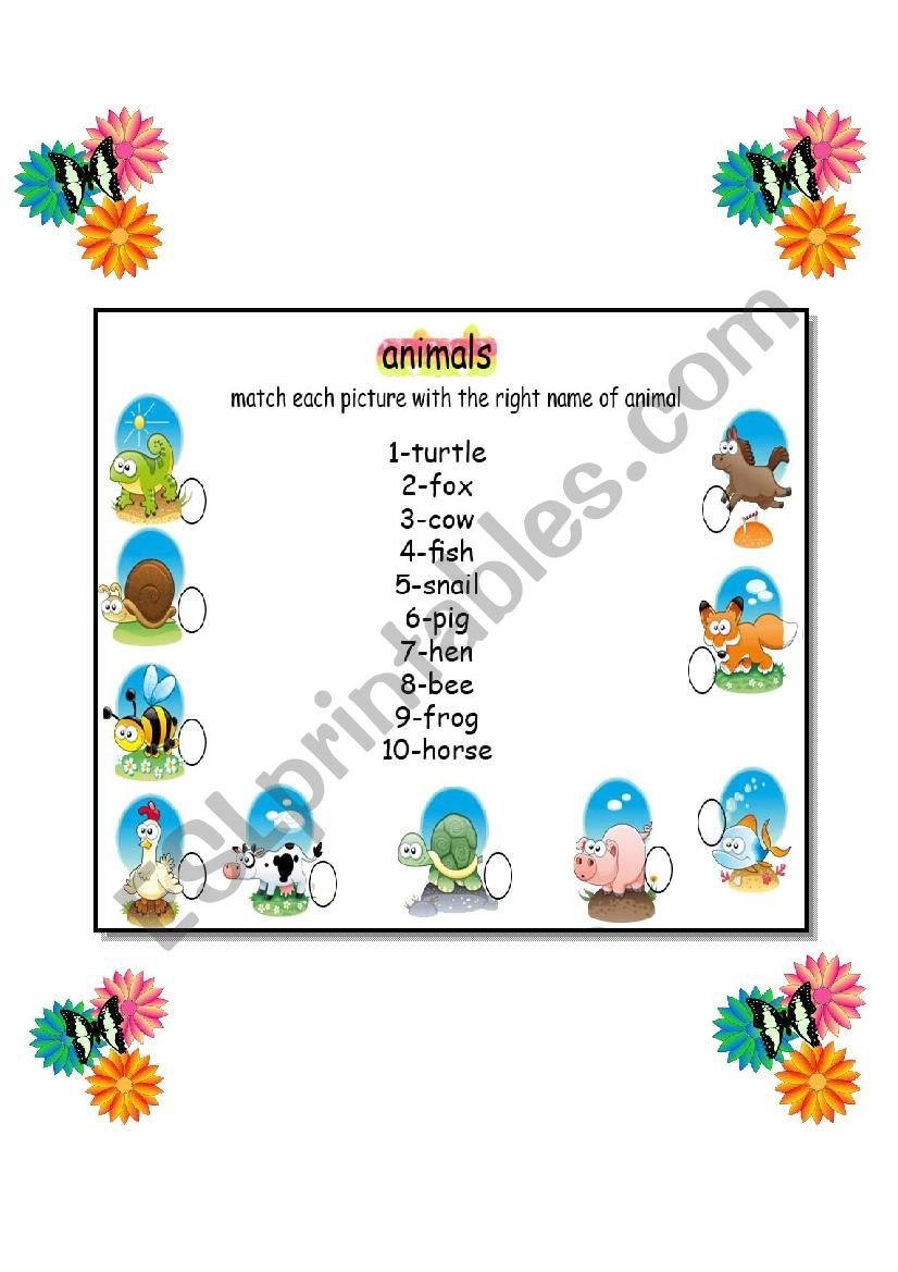 animals worksheet worksheet