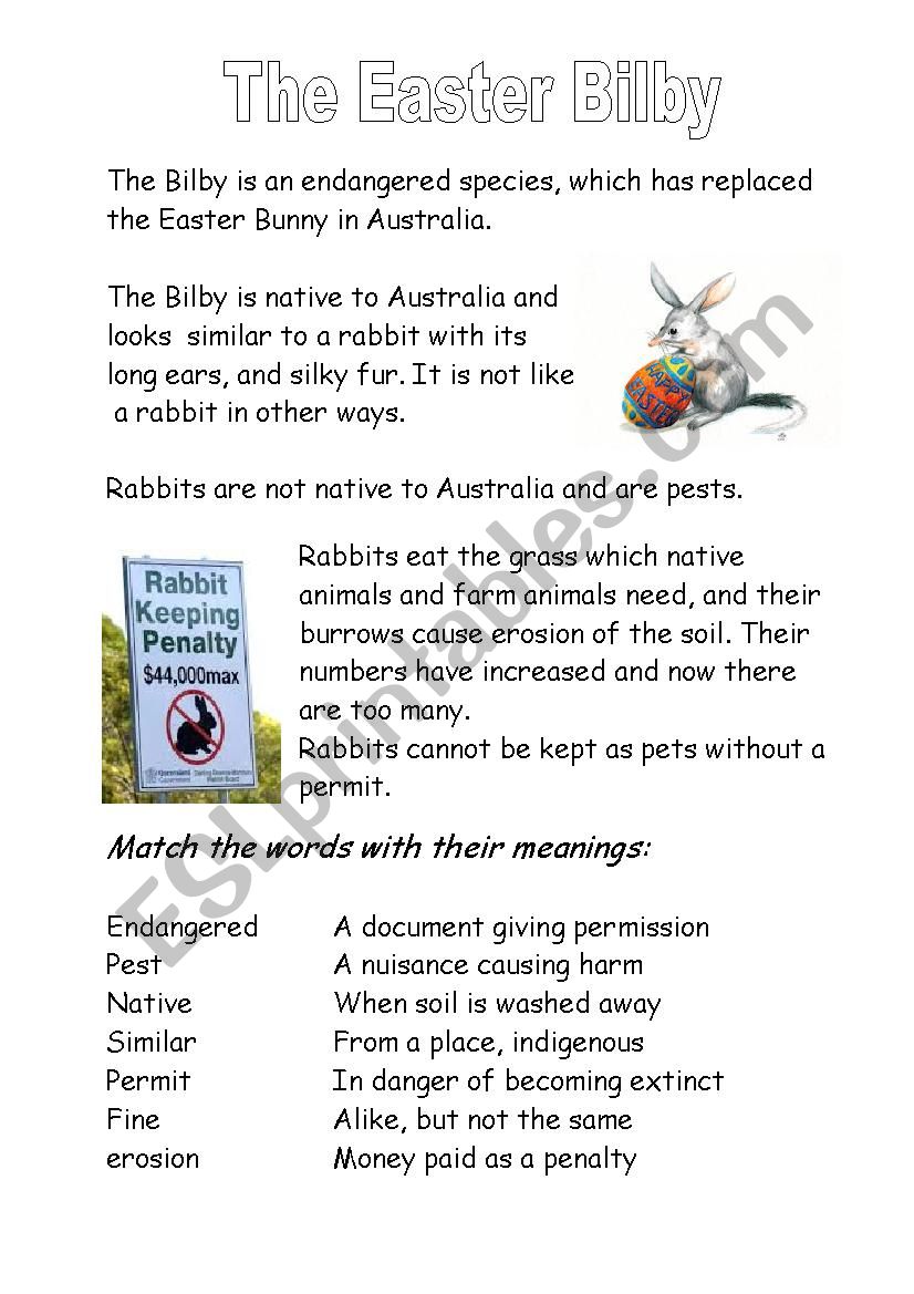 The Easter Bilby worksheet