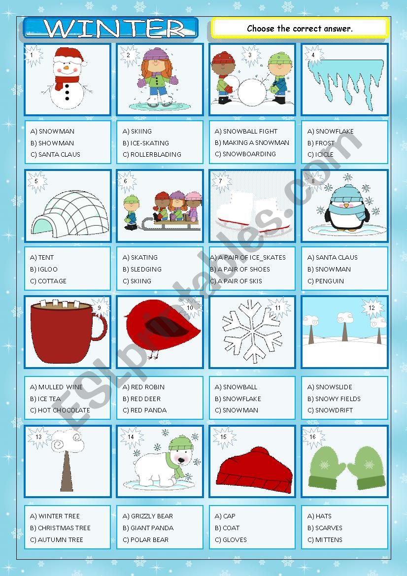 Winter worksheet