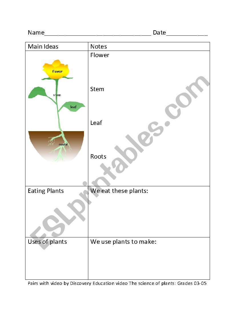 Cornell Notes  Parts of a Plant and Uses of Plants
