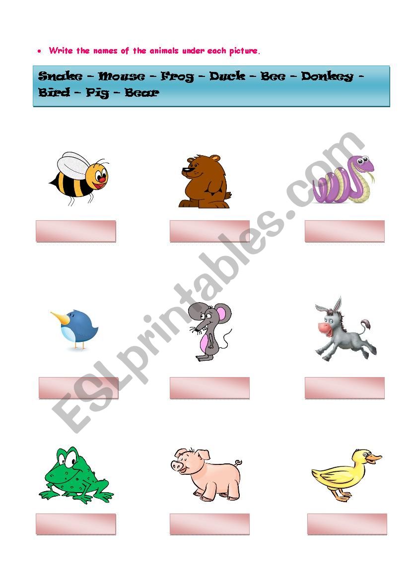 Animals I worksheet