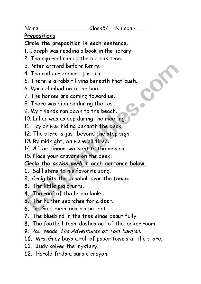 Verbs worksheet