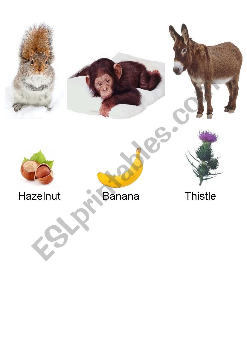 What Animal Eat Part 2 worksheet