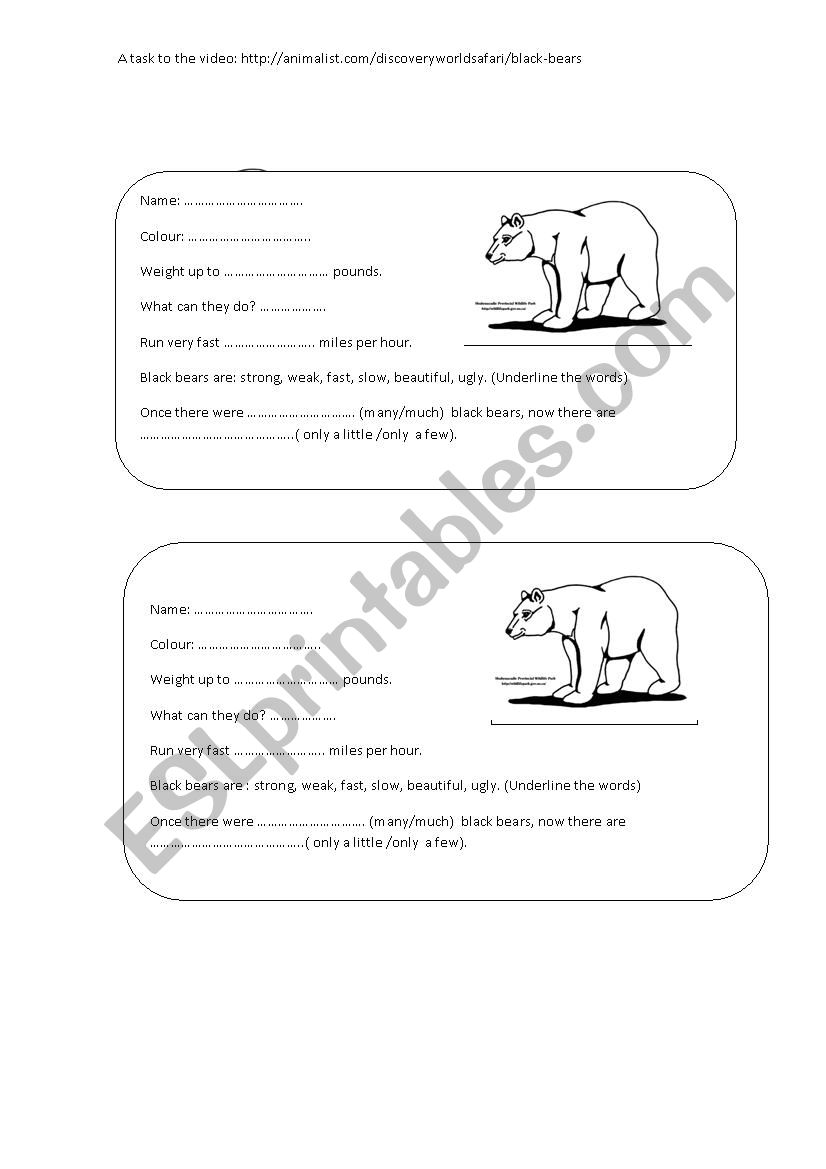 Black Bear  worksheet