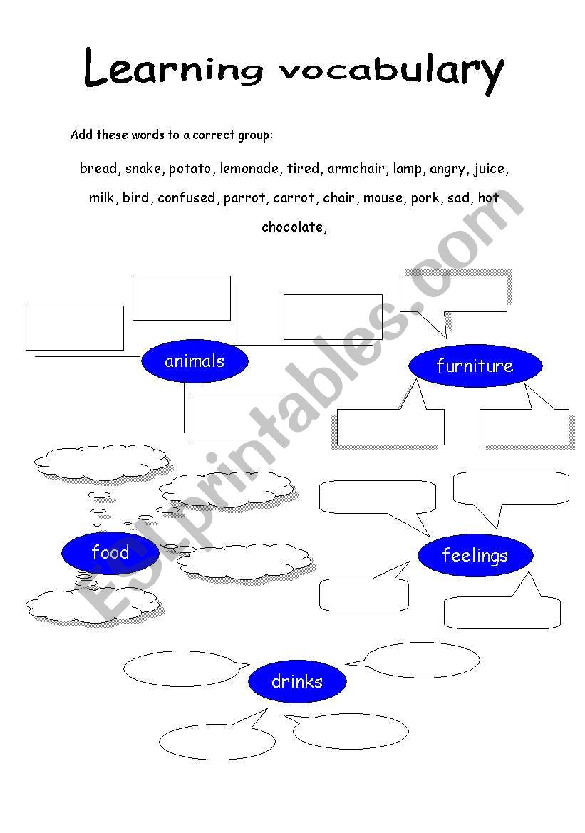 organizing vocabulary worksheet