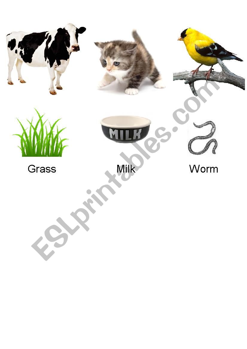 What Animal Eat Part 3 worksheet