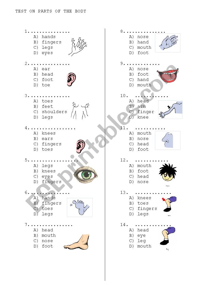 body parts worksheet