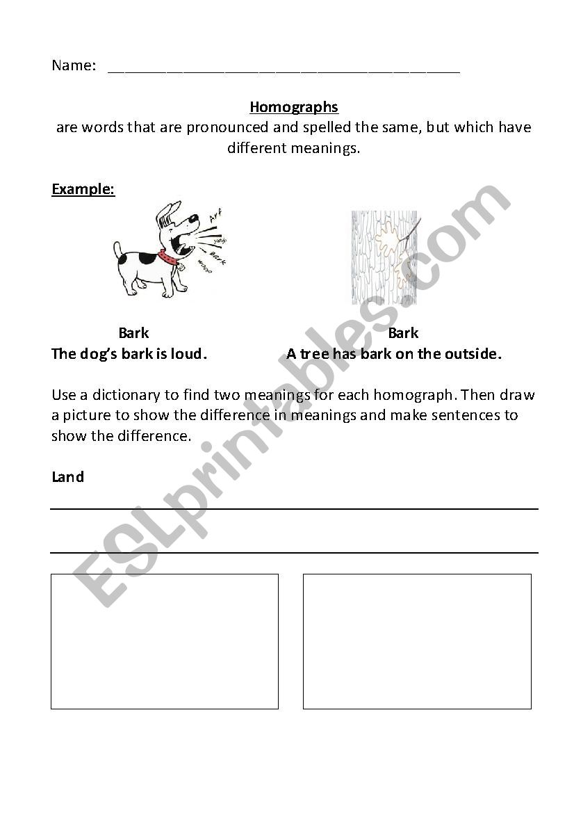 Homographs worksheet