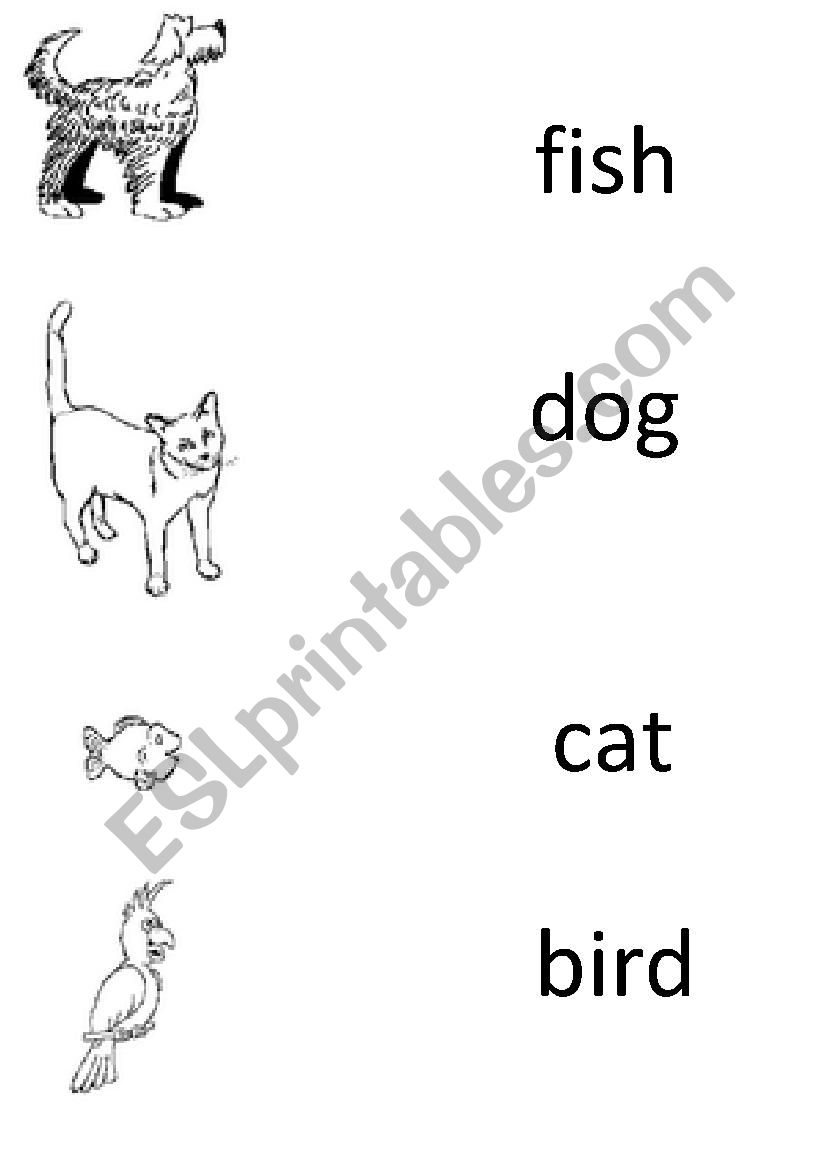 Animals worksheet