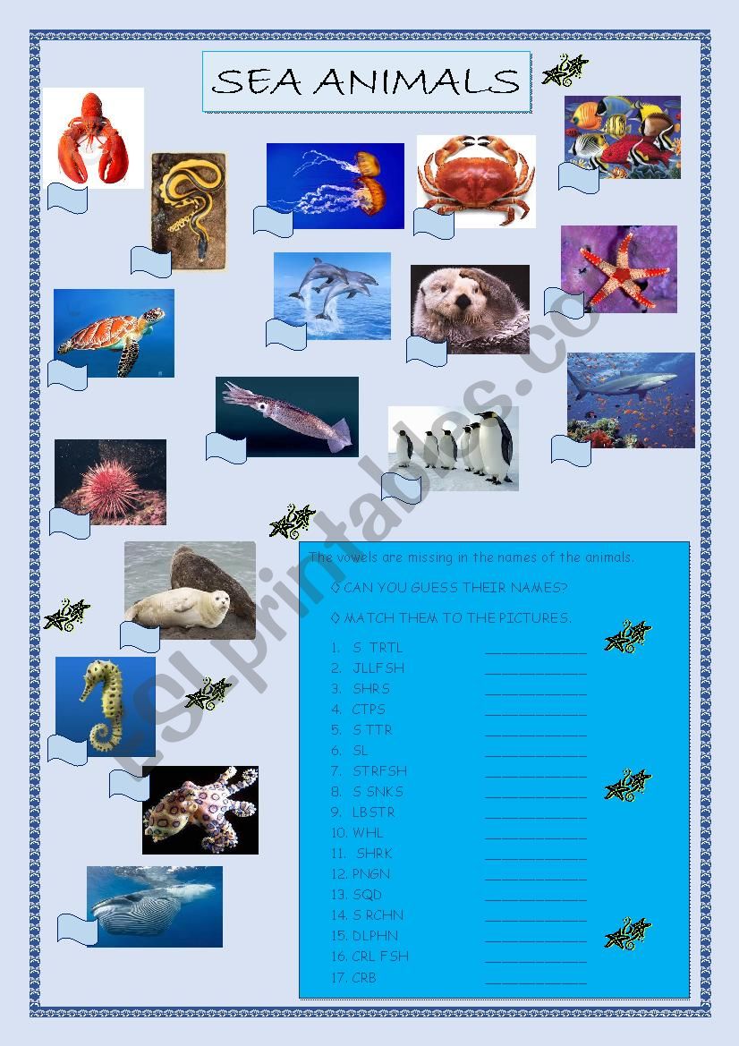 Sea Animals worksheet