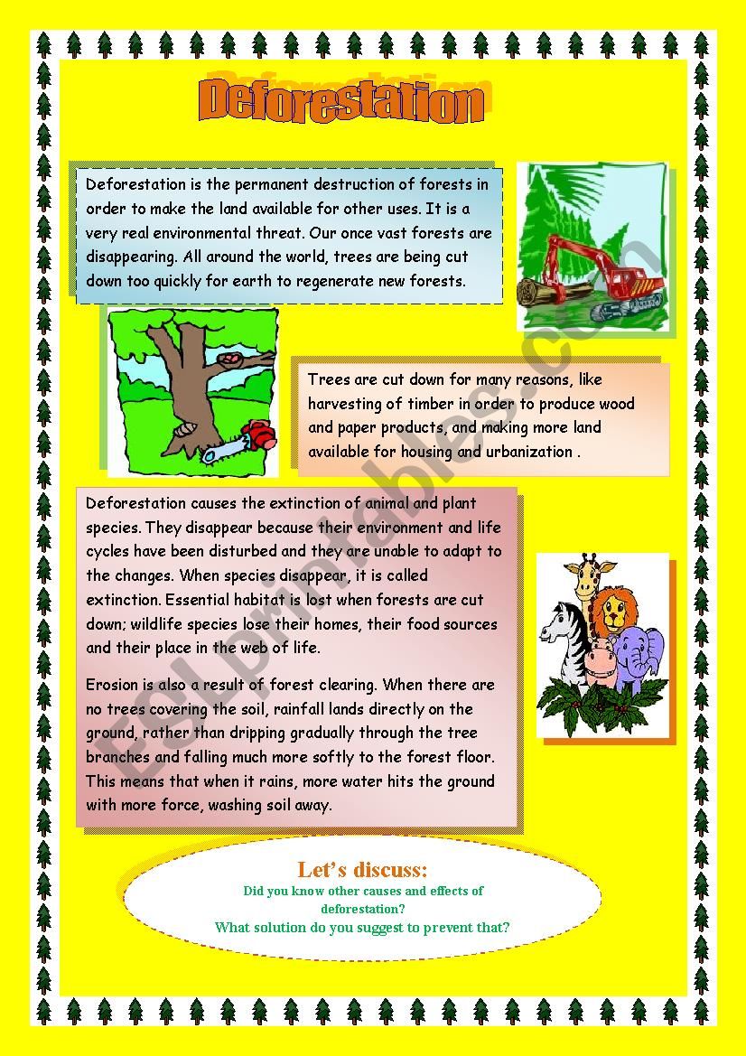 children's homework on deforestation