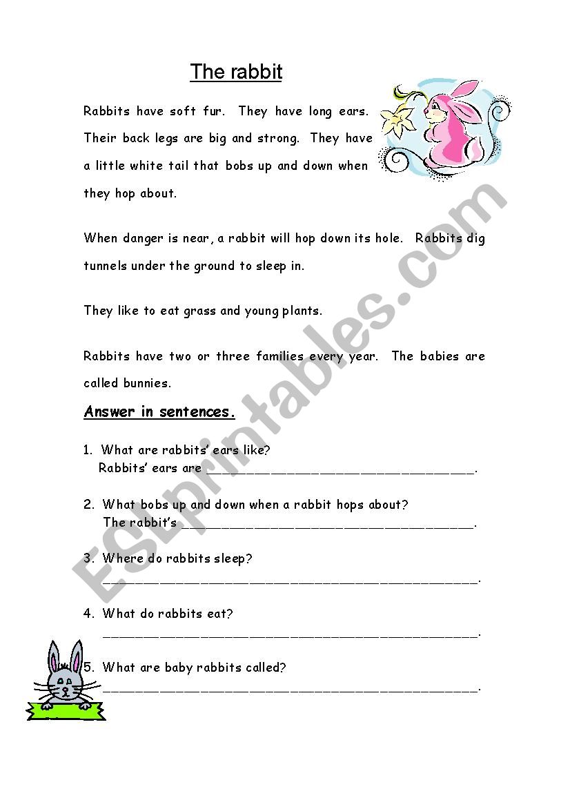 The Rabbit worksheet