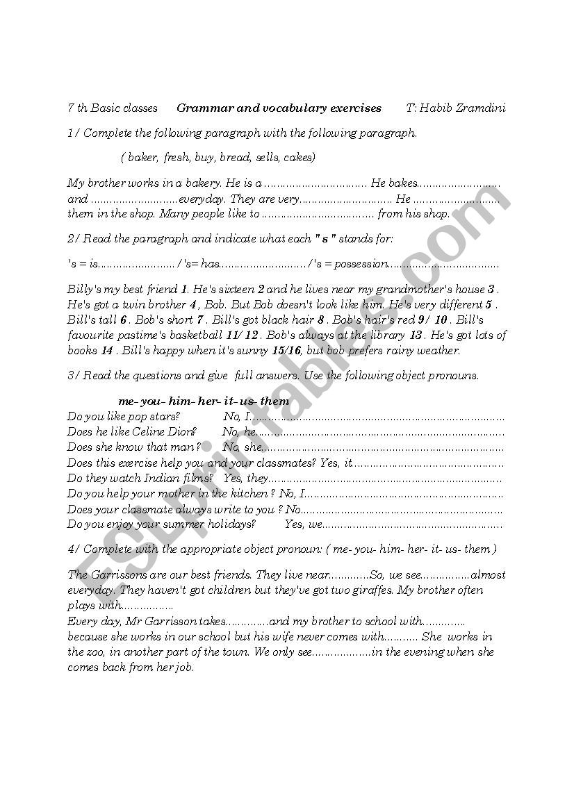 grammar and vocabulary worksheet