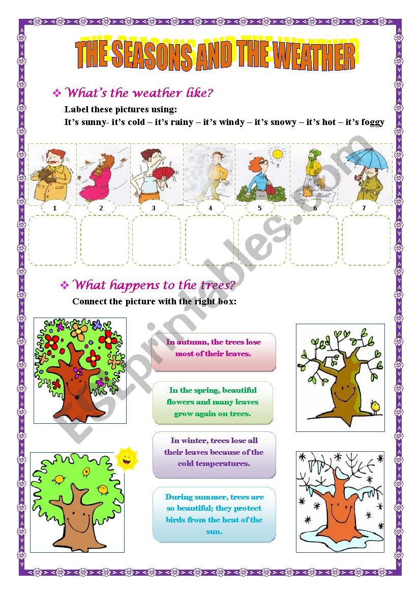 weather and seasons worksheet