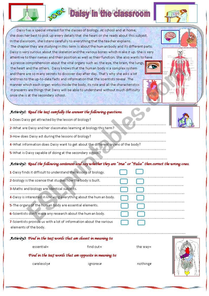 Daisy in the classroom worksheet