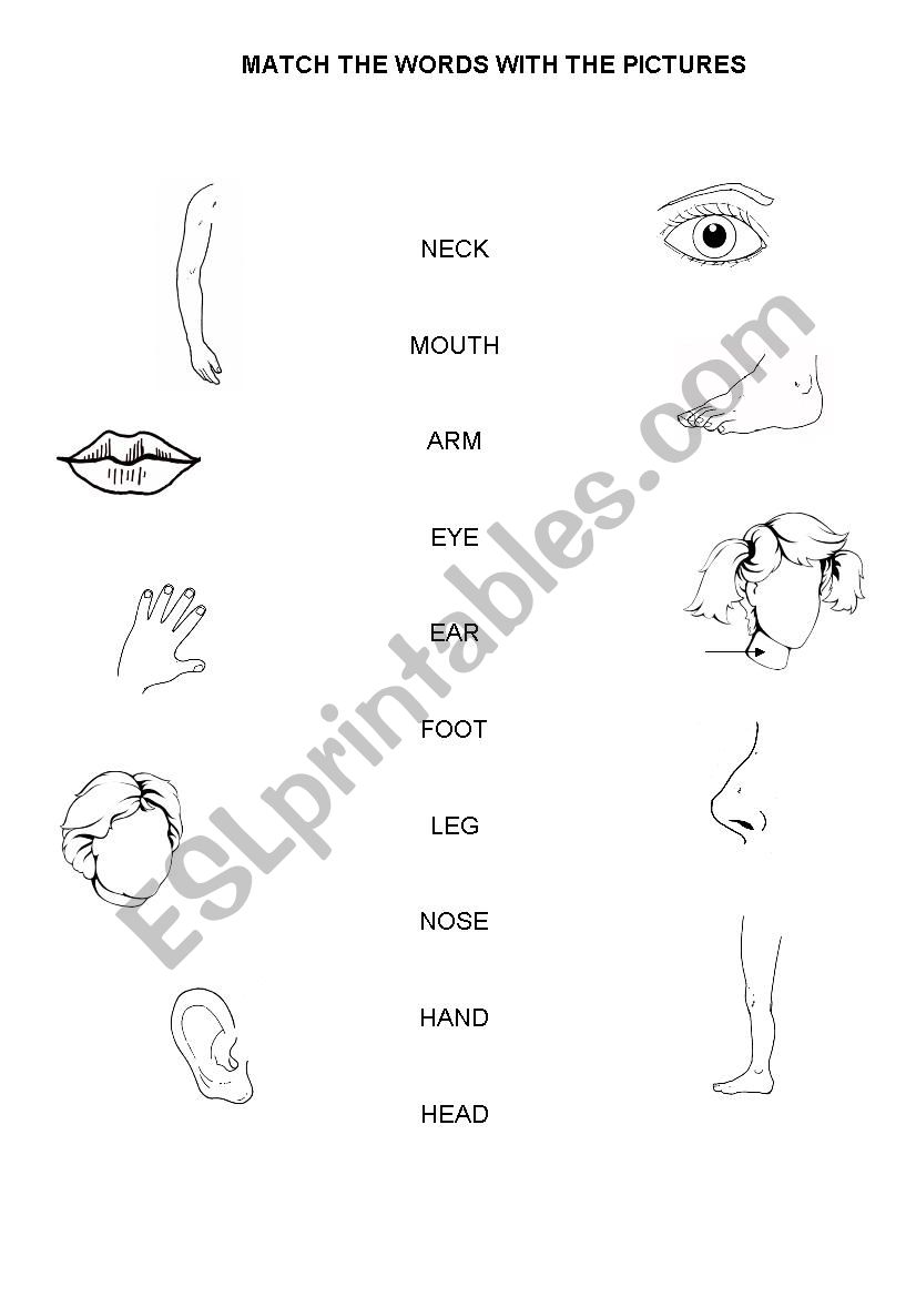 Parts of the body worksheet