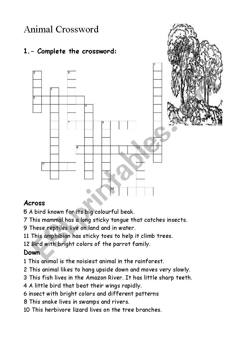 Tropical Rainforest animals worksheet