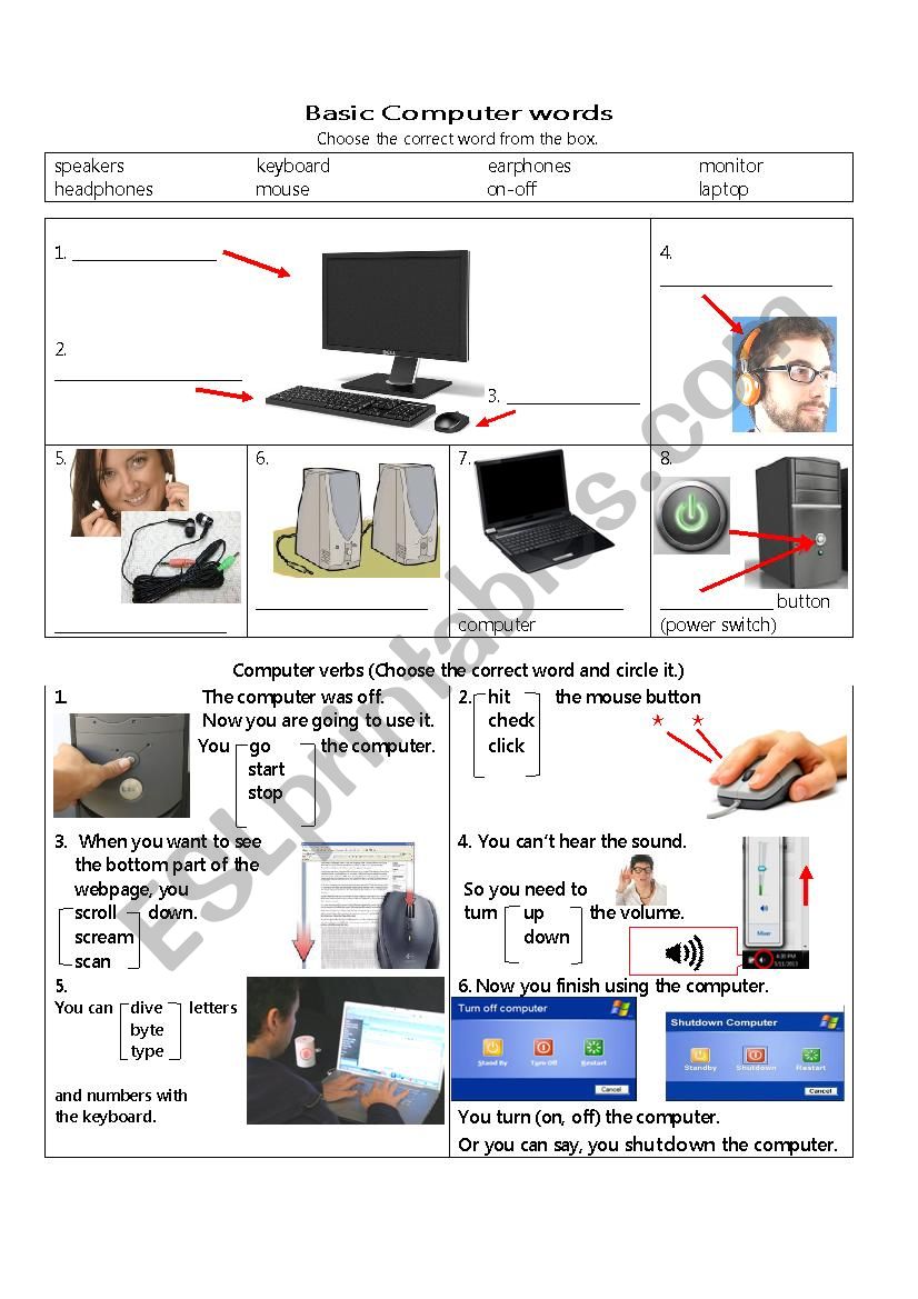 Basic Computer Words worksheet