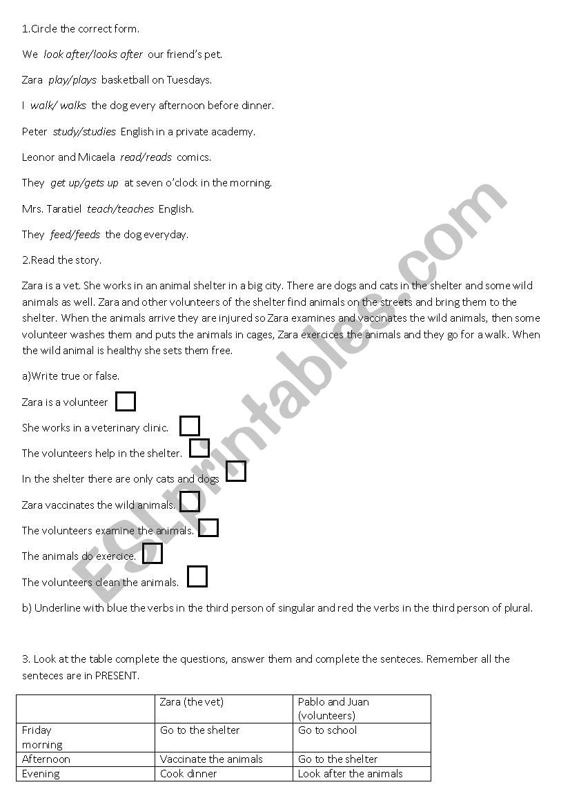 Present Simple worksheet