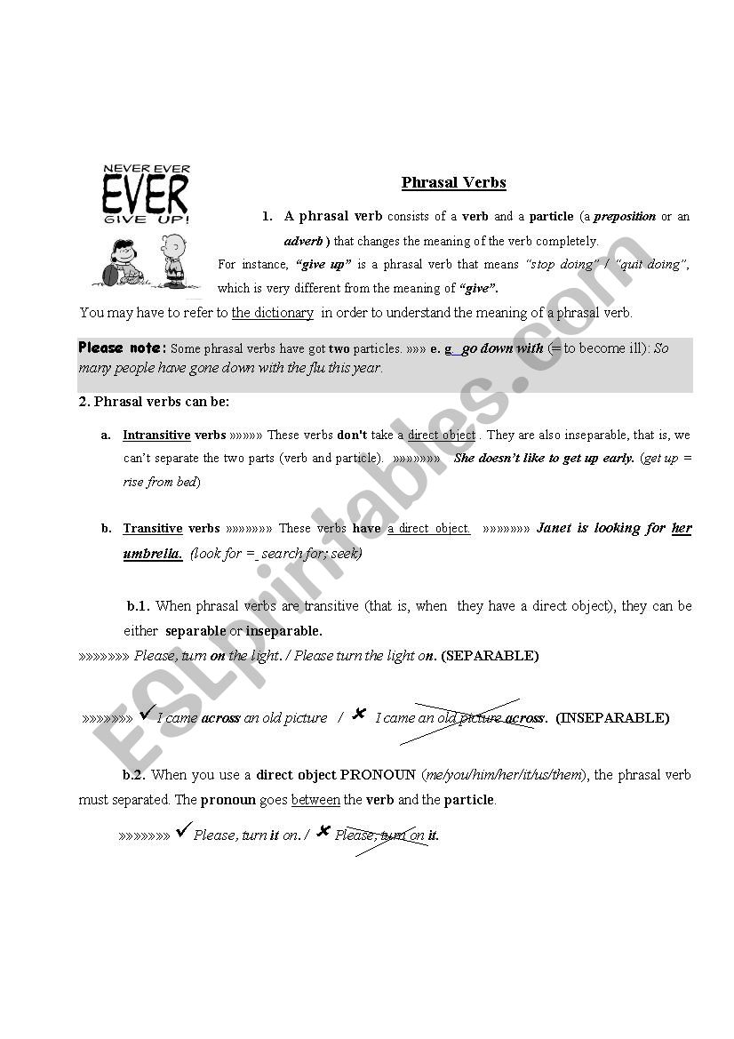  PHRASAL VERBS  worksheet