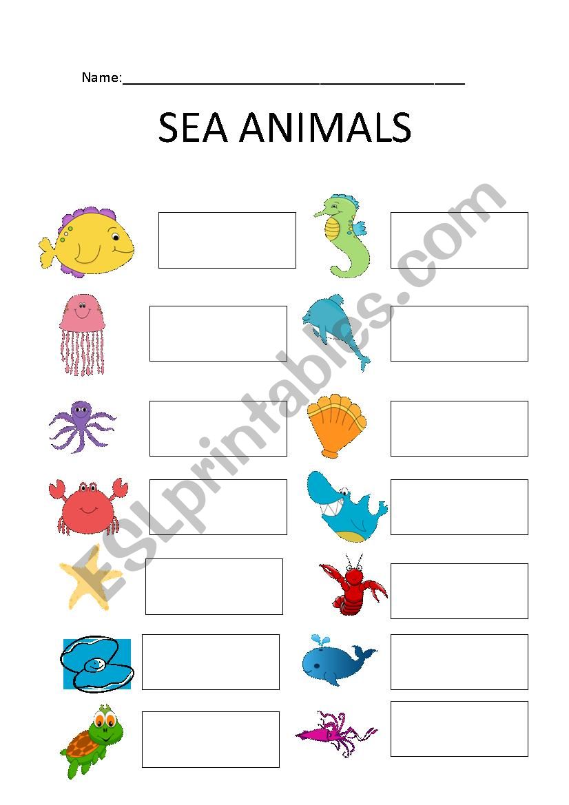 sea animals worksheet