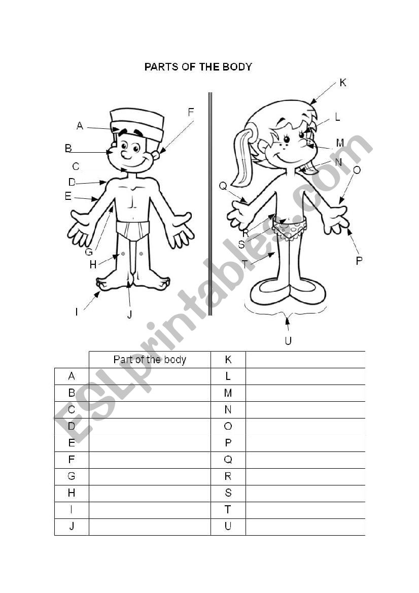 Parts of the body worksheet