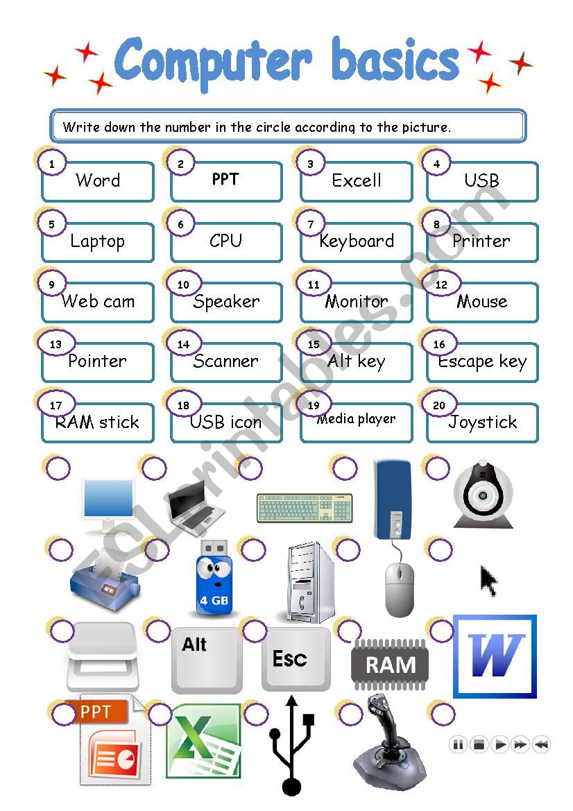 COMPUTER BASICS ESL Worksheet By Lorymorei