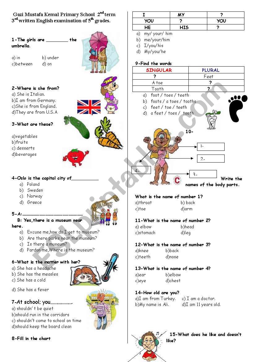 test for beginners worksheet