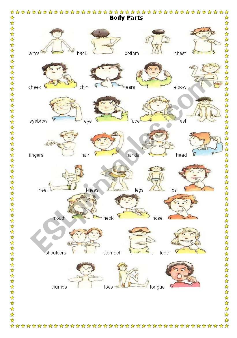 body parts worksheet