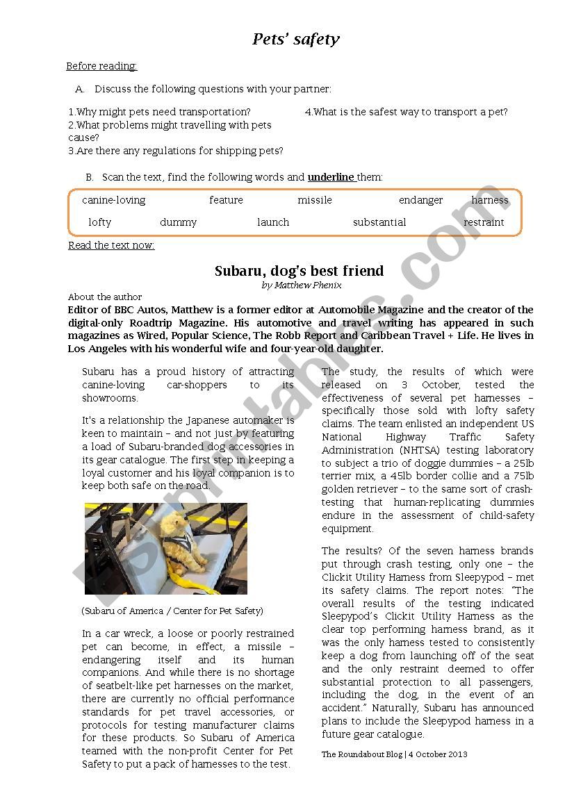 Pets safety worksheet