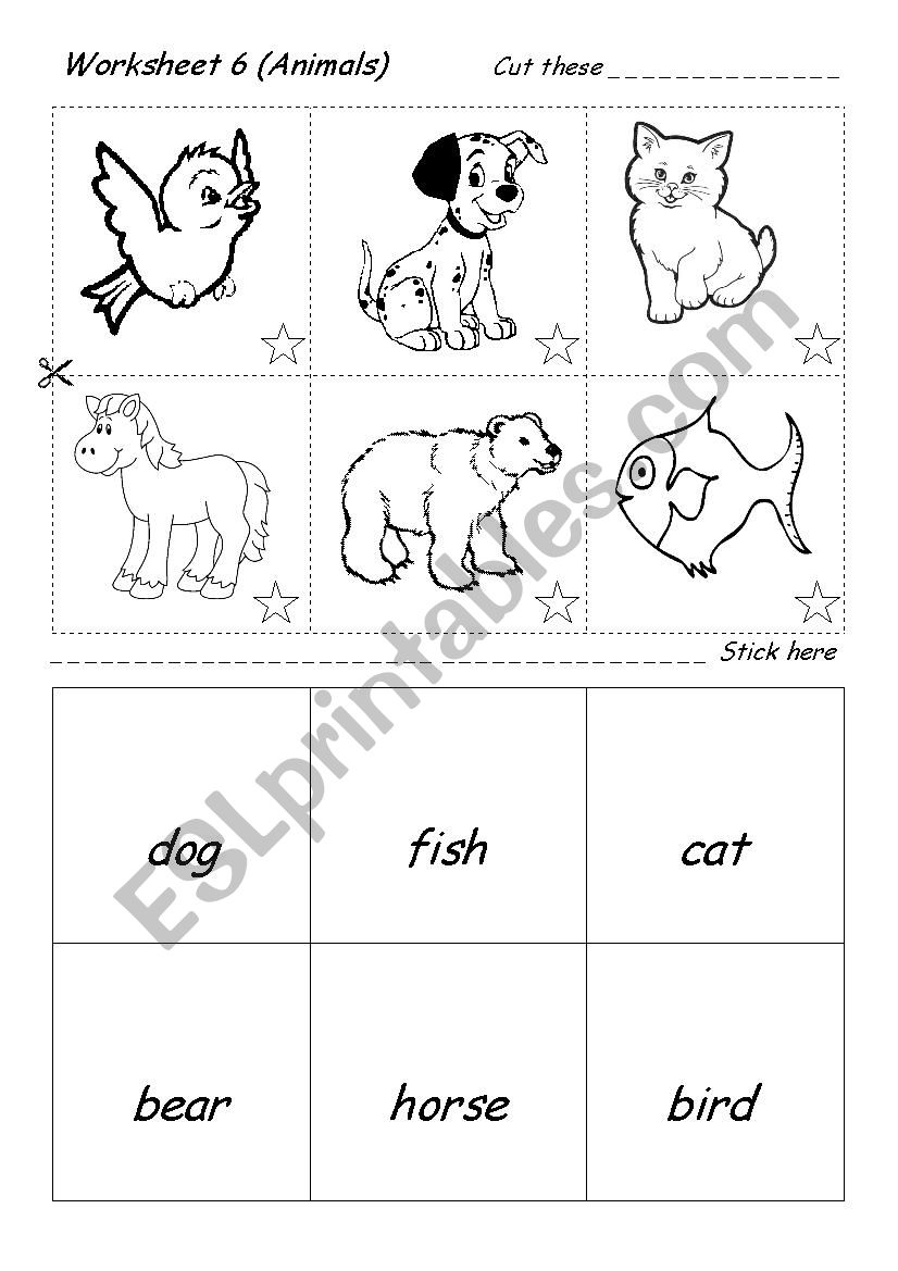 Animals worksheet worksheet