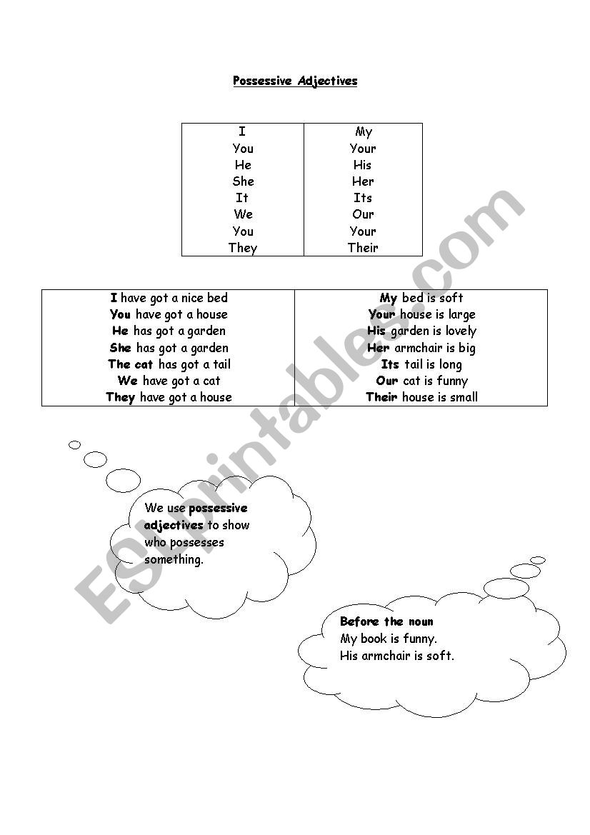 Possessive Adjectives worksheet