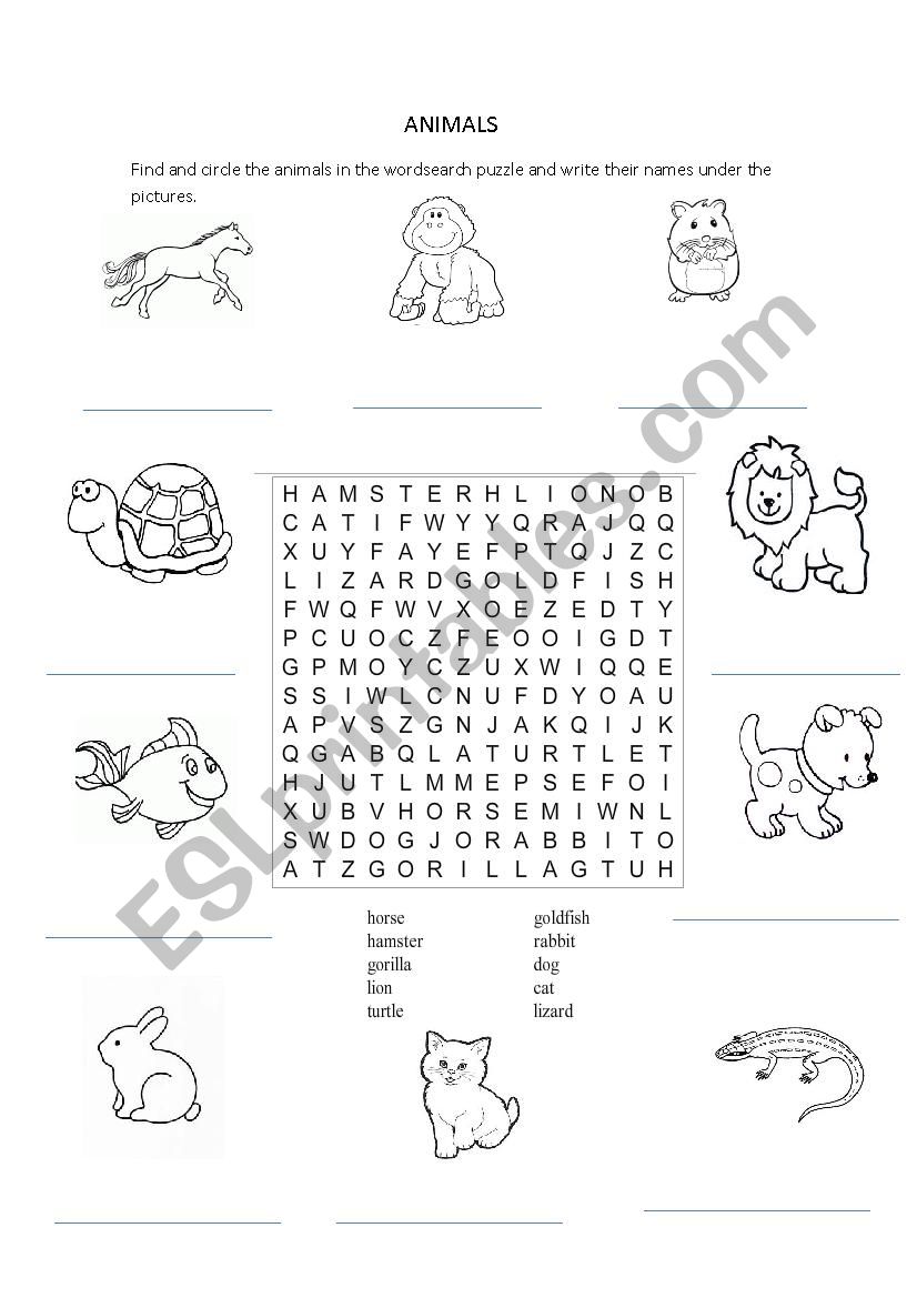 animals worksheet