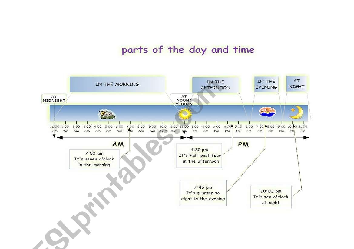 Parts of the day and time worksheet