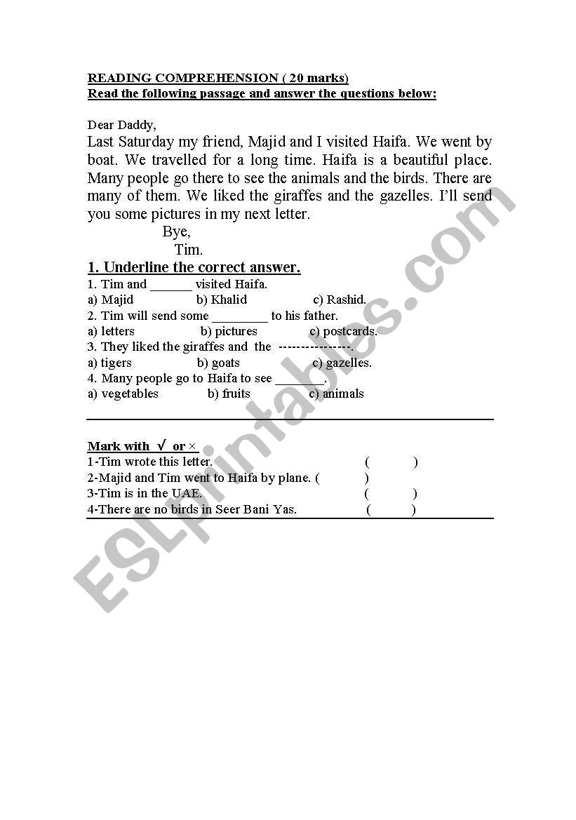 reading comprehension worksheet