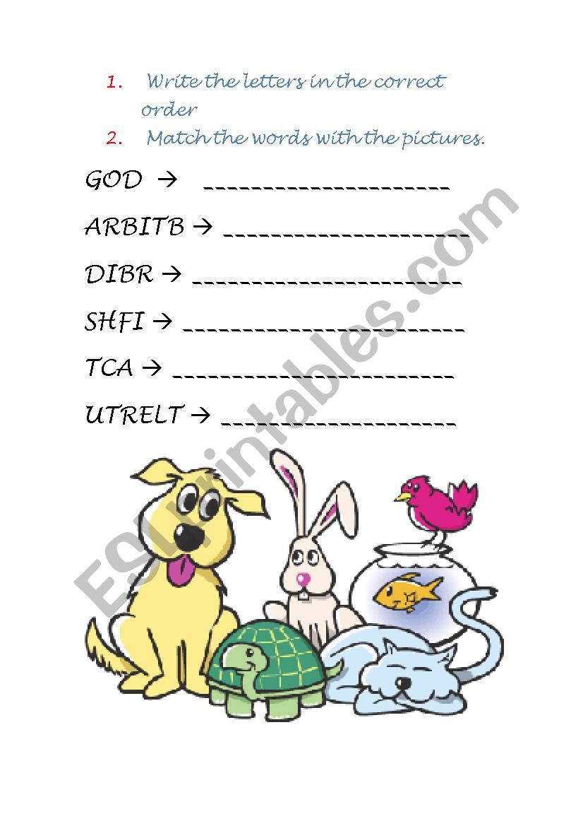 Pets worksheet