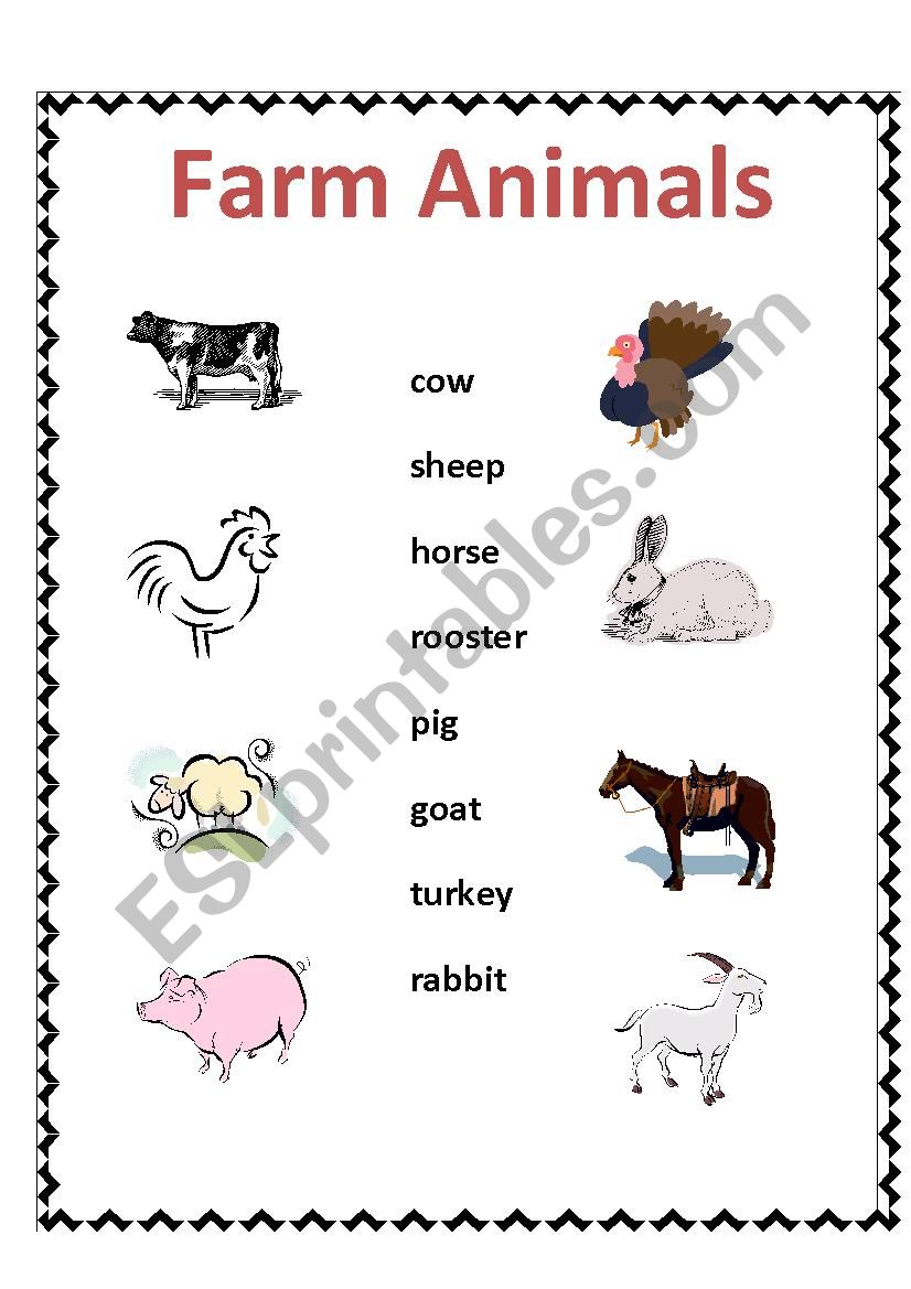 Farm animals - matching activity