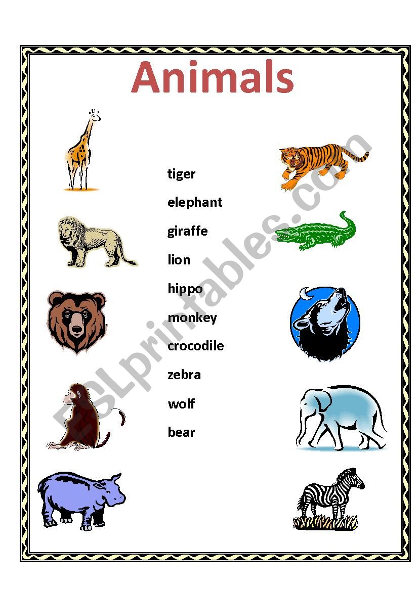 Animals - matching activity - ESL worksheet by annemariehudon