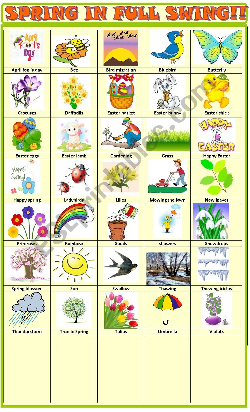 Spring : pictionary worksheet
