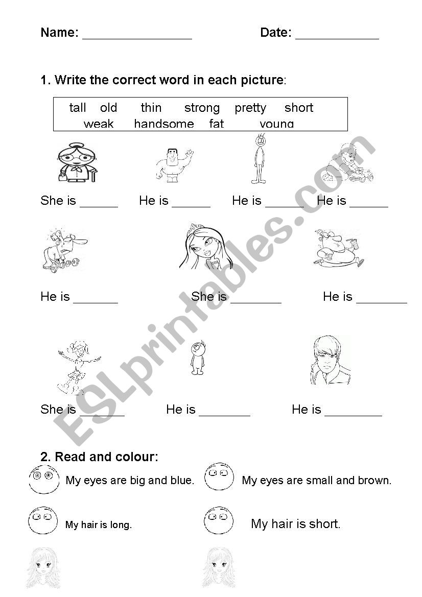 Physical description  worksheet