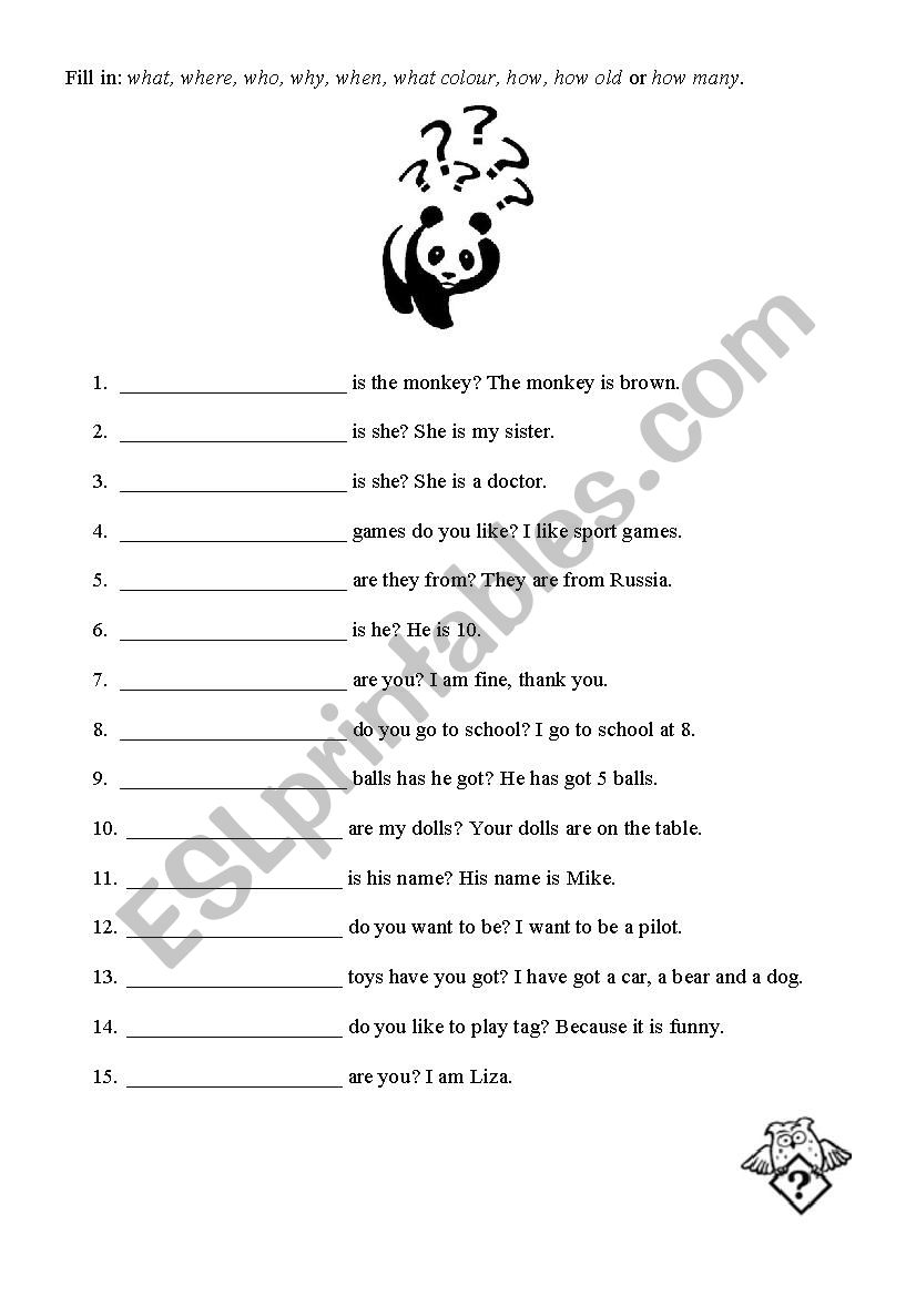 Question words worksheet