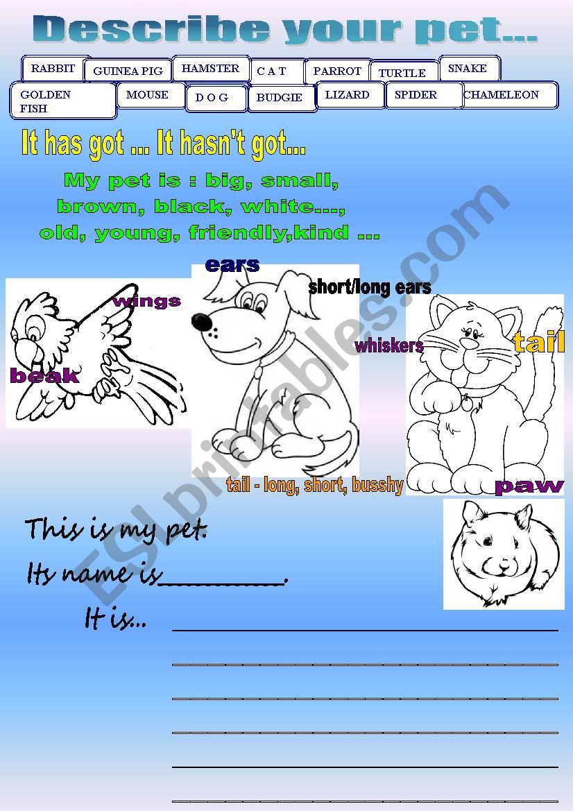 Describe your pet worksheet