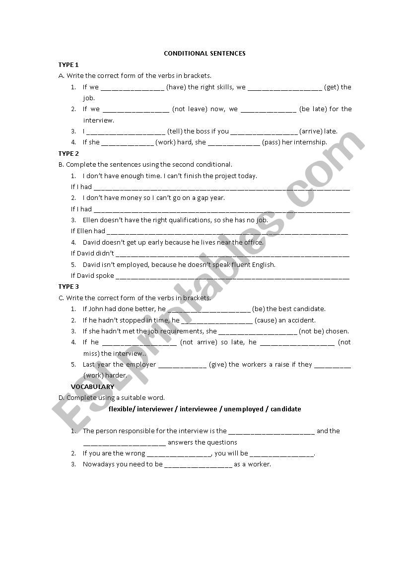 Conditionals and vocabulary worksheet
