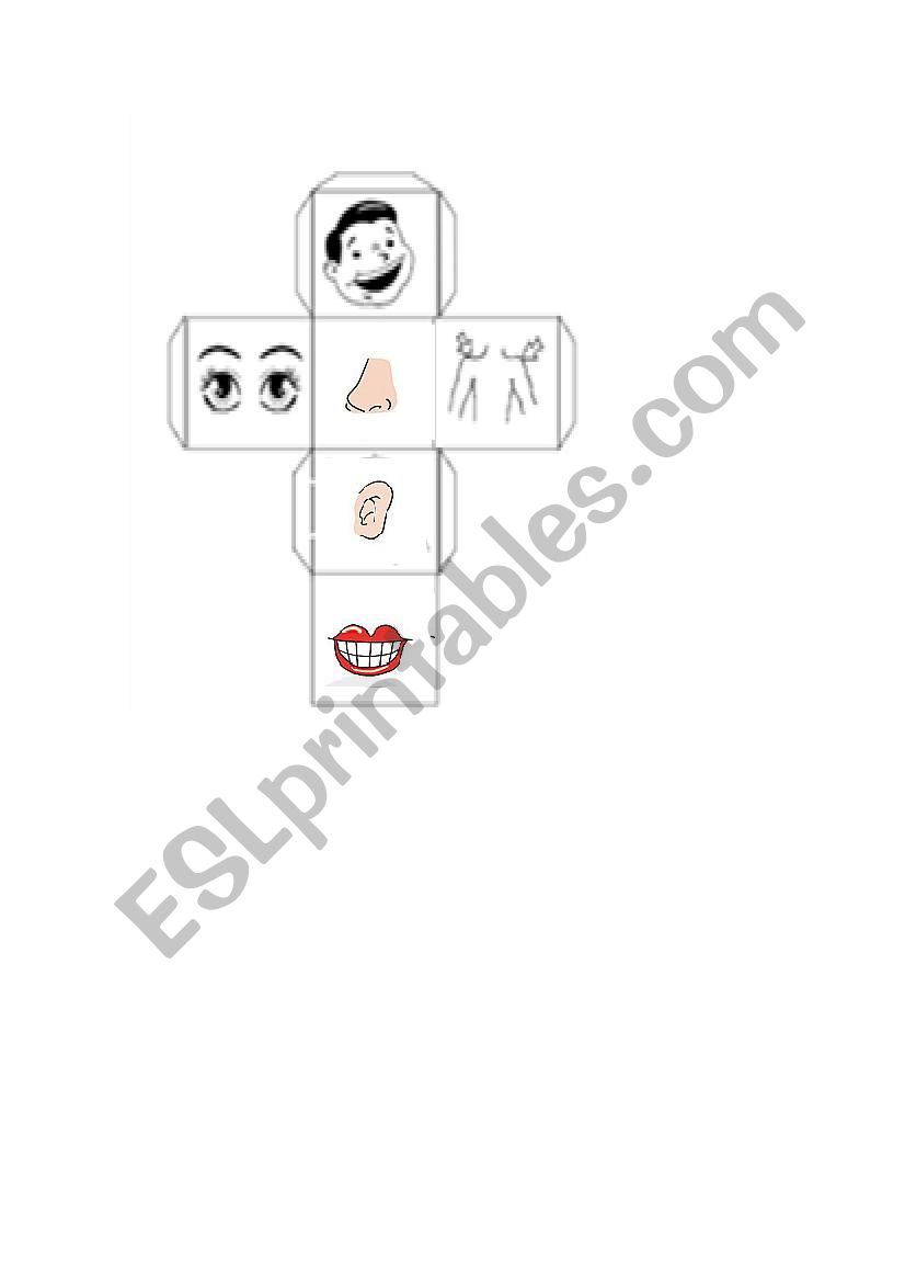 body partes worksheet