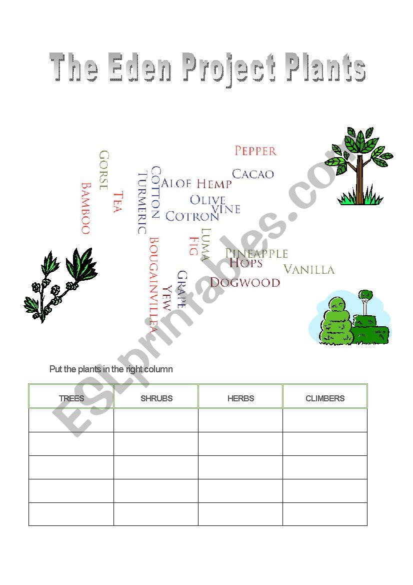 The Eden Project Plants worksheet