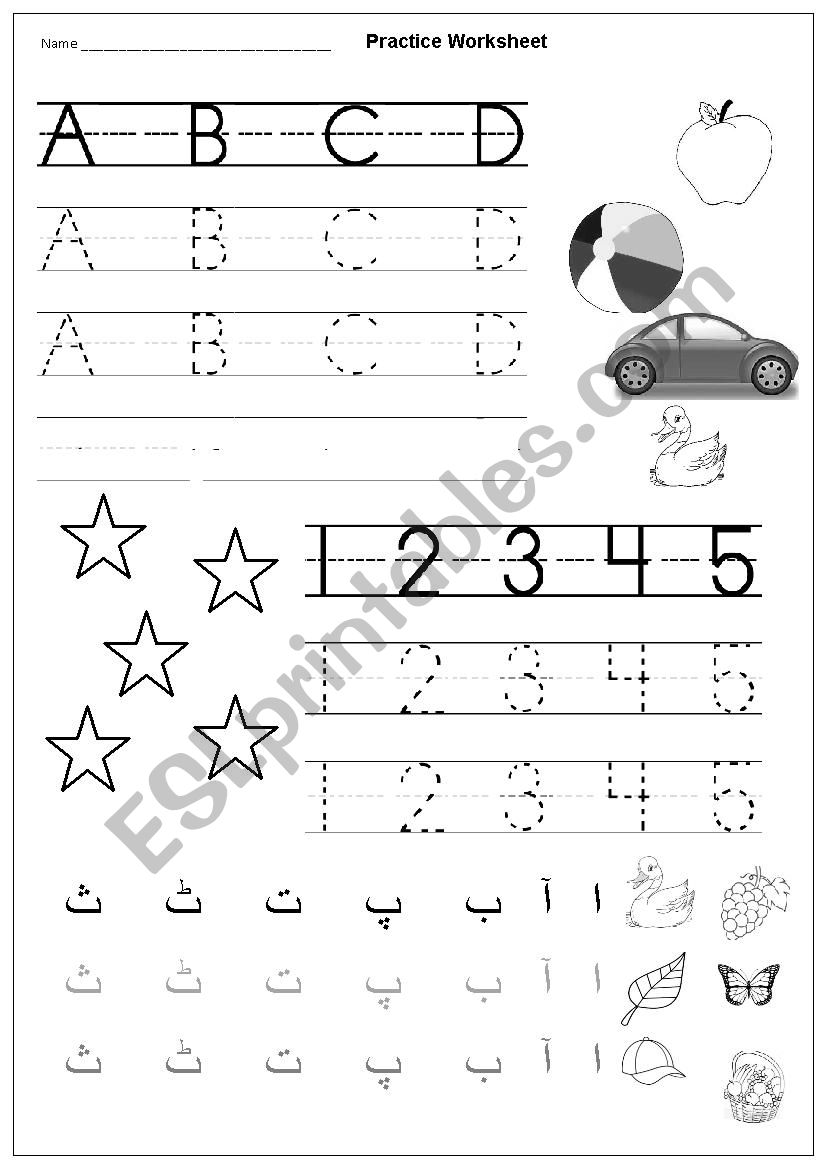 Abc Esl Worksheet By Honey Bee