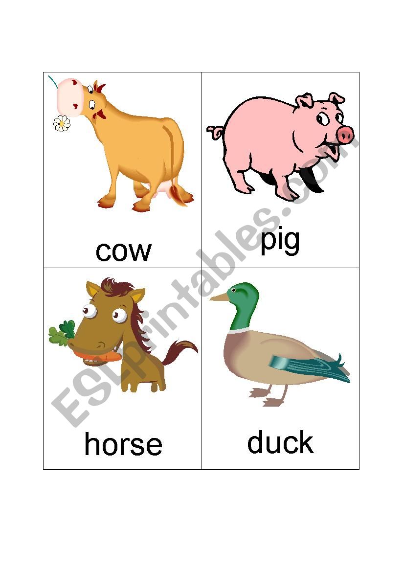animal farm worksheet