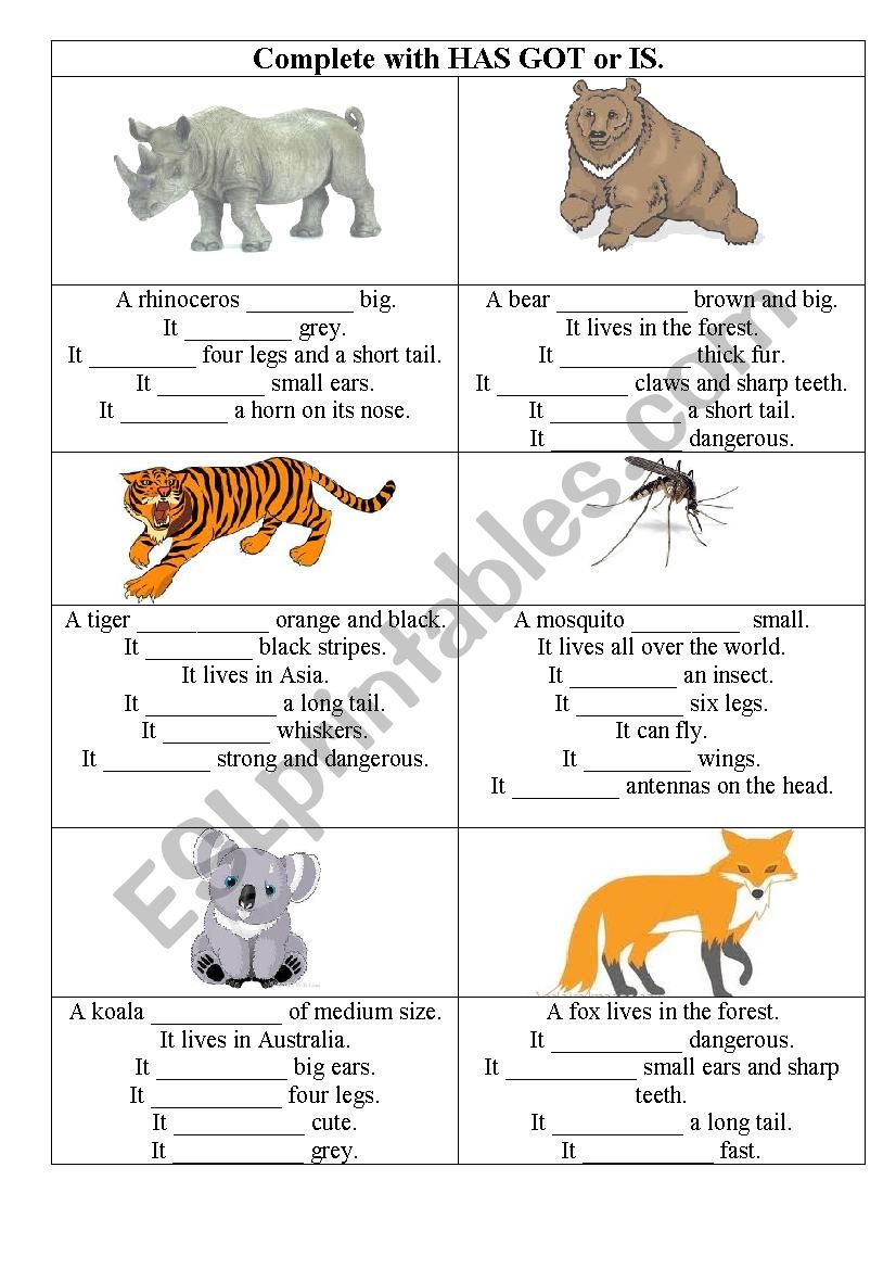 Animals with BE and HAVE GOT - ESL worksheet by Minka