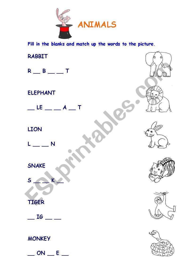 Animals Easy worksheet